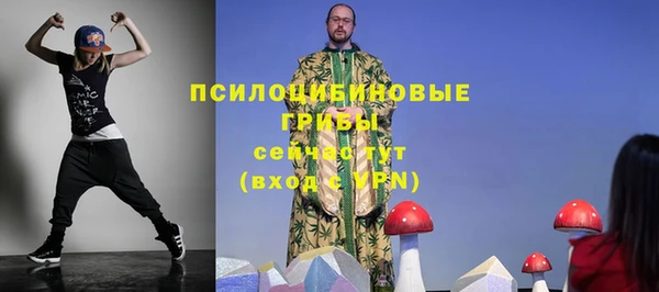 мдма Пролетарск