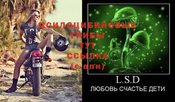 СК Ростов