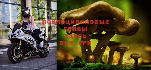 мдма Пролетарск