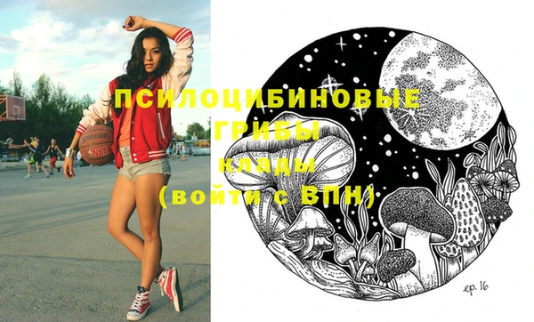 твердый Приозерск