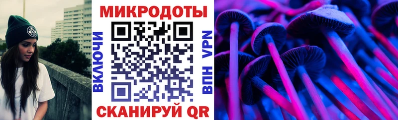Купить закладки Зерноград Псилоцибиновые грибы Psilocybe
